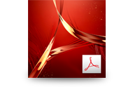 AdobeRAcrobatRXI Proのイメージ